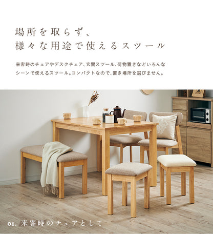ダイニングチェア【 stool -ロジコニースツール- 】ds