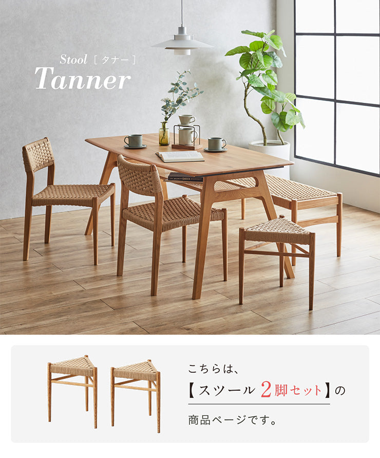 ダイニングチェア【 Tanner -タナー- 】ds