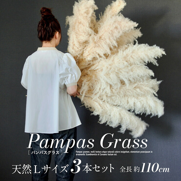【ポイント10倍!今晩20時開始】ドライフラワー 天然 穂 インテリア スワッグ 花束 花材 観葉植物 リース ブーケ おしゃれ シンプル 北欧 韓国 ふわふわ リビング ダイニング 和室 玄関 PampasGrass(パンパスグラス) Lサイズ 110cm 3本セット