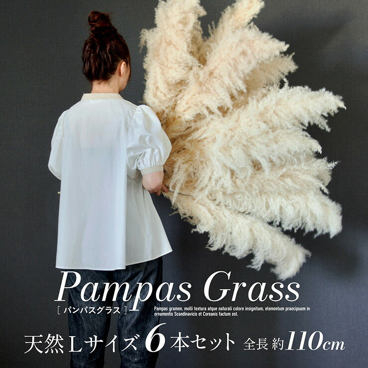 【ポイント10倍!今晩20時開始】ドライフラワー 天然 穂 インテリア スワッグ 花束 花材 観葉植物 リース ブーケ おしゃれ シンプル 北欧 韓国 ふわふわ リビング ダイニング 和室 玄関 PampasGrass(パンパスグラス) Lサイズ 110cm 6本セット