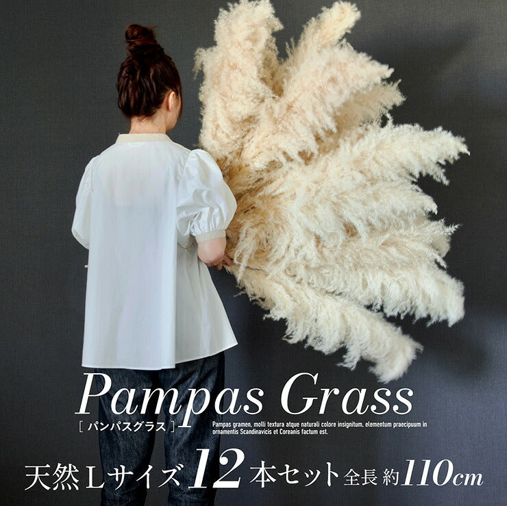 【ポイント10倍!今晩20時開始】ドライフラワー 天然 穂 インテリア スワッグ 花束 花材 観葉植物 リース ブーケ おしゃれ シンプル 北欧 韓国 ふわふわ リビング ダイニング 和室 玄関 PampasGrass(パンパスグラス) Lサイズ 110cm 12本セット
