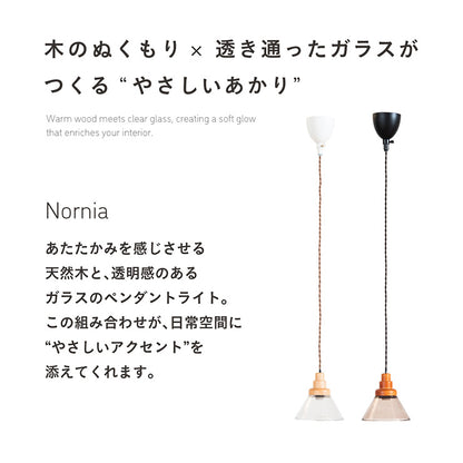 照明【 Nornia -ノルニア- 】ds