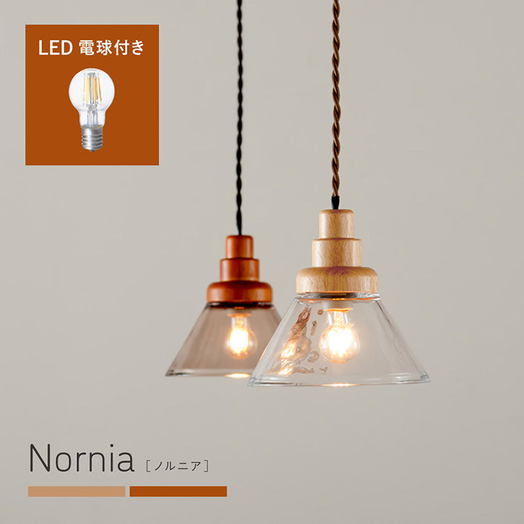 照明 電球セット【 Nornia -ノルニア- 】ds