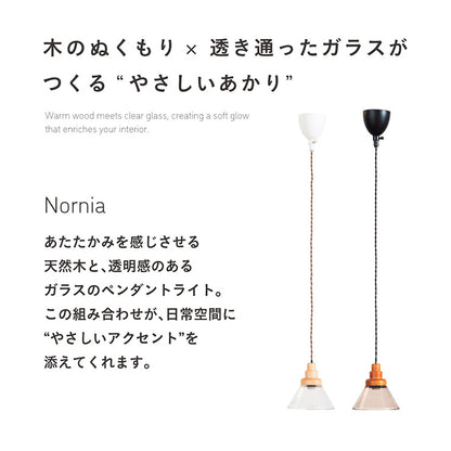 照明 電球セット【 Nornia -ノルニア- 】ds