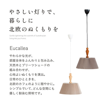 照明【 Eucallea -ユーカレア- 】okw