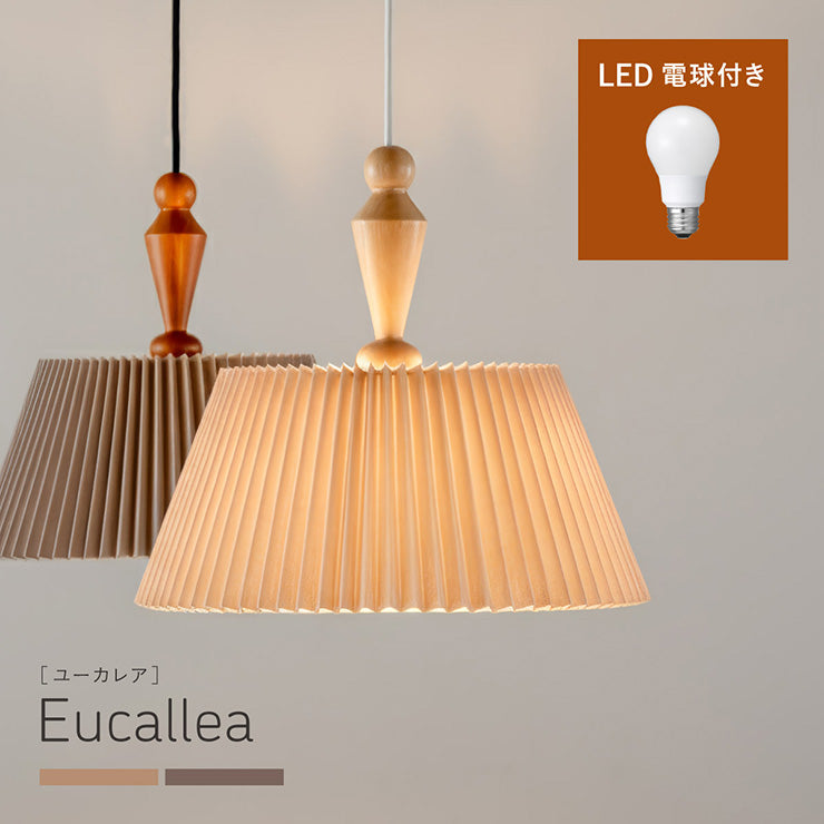 照明 電球セット【 Eucallea -ユーカレア- 】ds