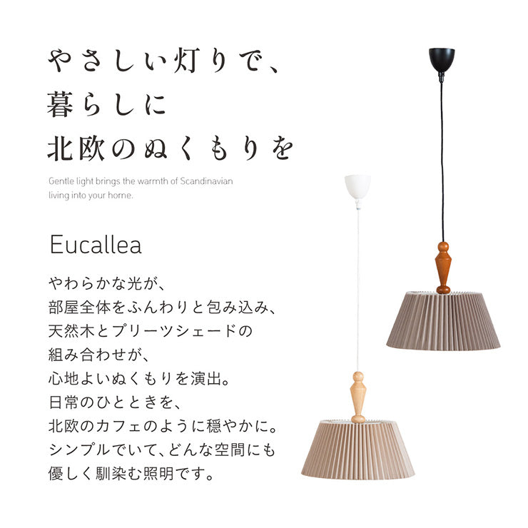 照明 電球セット【 Eucallea -ユーカレア- 】ds