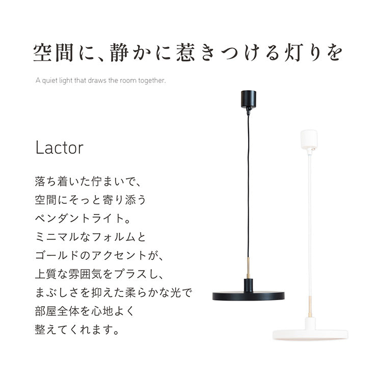 照明【 Lactor -ラクター- 】ds