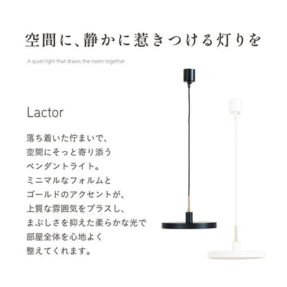 照明【 Lactor -ラクター- 】ds