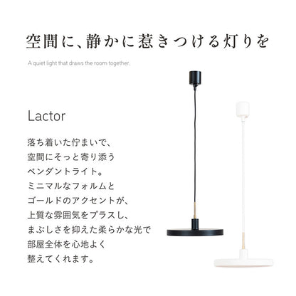 照明 電球セット【 Lactor -ラクター- 】ds