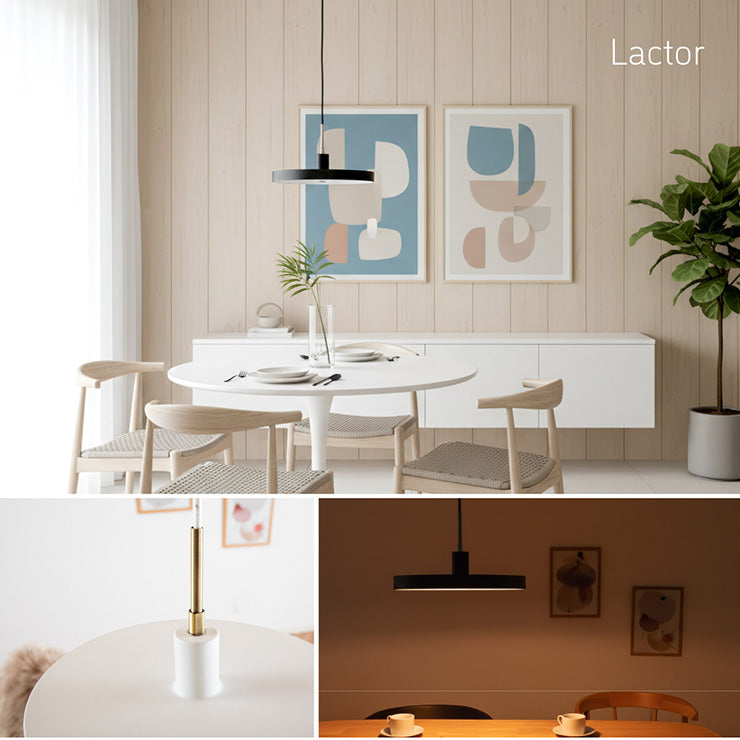 照明 電球セット【 Lactor -ラクター- 】ds